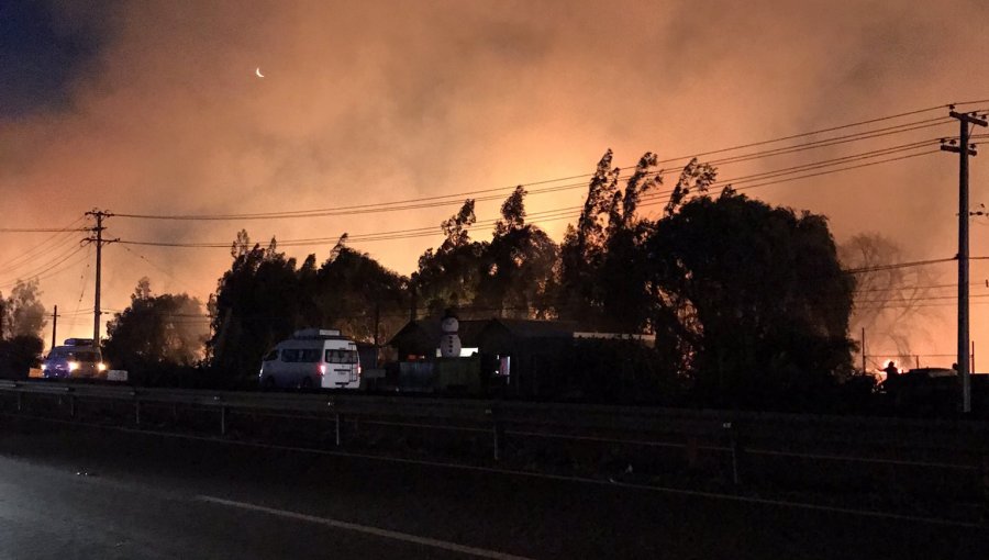 Declaran Alerta Amarilla para la comuna de Llay Llay por incendio forestal cercano a viviendas
