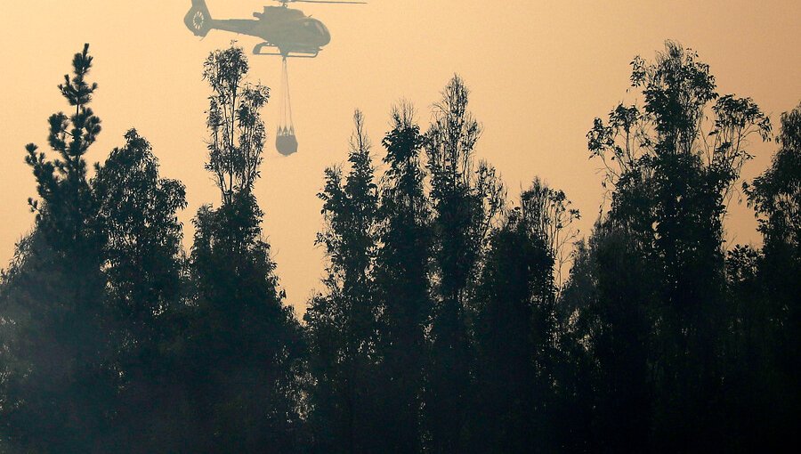 Extinguen incendios forestales que afectaron a tres comunas de la región de Valparaíso y cancelan la Alerta Amarilla