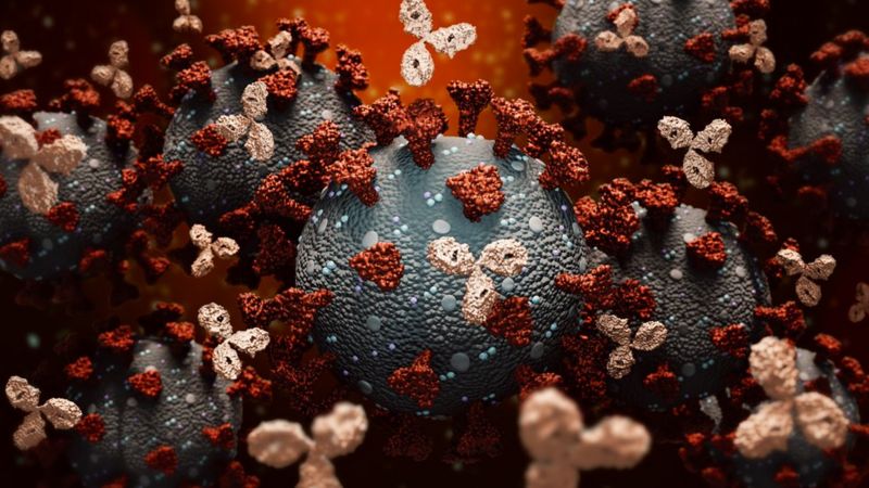 Por qué es tan difícil desarrollar fármacos para tratar un virus como el del Covid-19