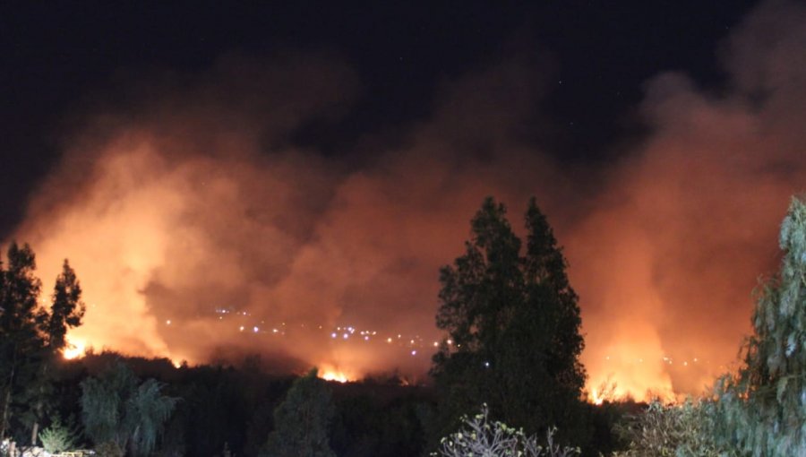 Incendio forestal afecta a la ribera norte del río Aconcagua en Quillota