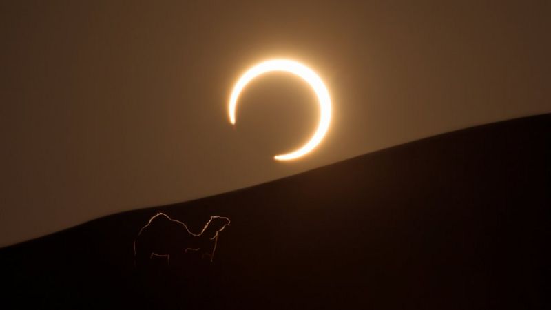 Eclipse anular solar: Qué es el llamado "anillo de fuego" y desde dónde podrá ser visto el de este jueves 10