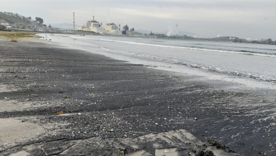 Ministerio de Medio Ambiente, AES Gener y Puerto Ventanas presentan recursos de apelación para que se eche pie atrás histórico fallo en Puchuncaví