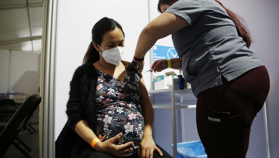 Colegio de Matronas advierte fuerte aumento de muerte de embarazadas: Estamos retrocediendo al nivel de los años 80