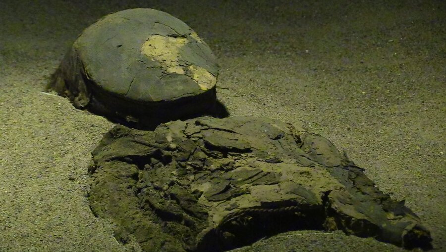 Unesco declara Patrimonio Mundial a los asentamientos y momificación artificial de la cultura Chinchorro