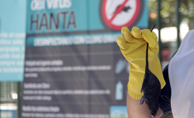 Confirman muerte de mujer contagiada con virus Hanta en La Araucanía: familia acusa negligencia médica
