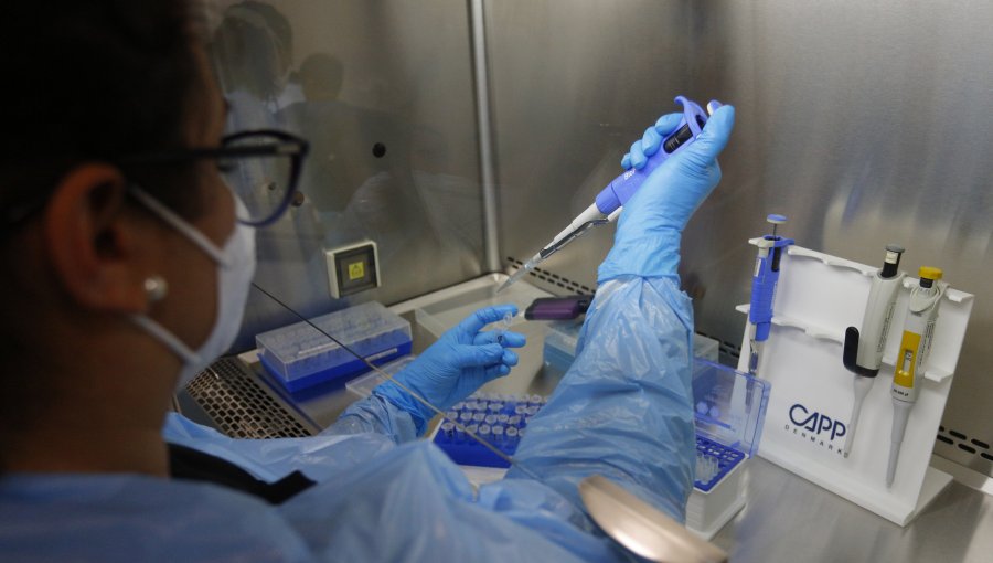 Siguen a la baja casos de Covid en Chile: Positividad de PCR fue 1,11% y casos activos bajaron de 5 mil