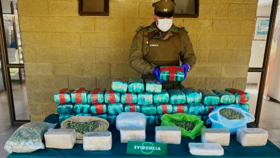 Choapa: Detienen a hombre que transportaba droga equivalente a $300 millones