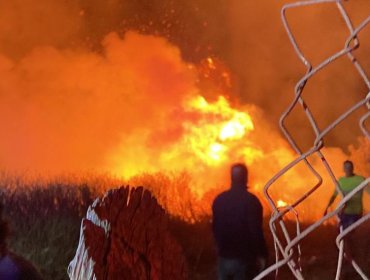 Solicitan evacuar sectores del cerro Jiménez de Valparaíso por incendio forestal que ya consumió una vivienda