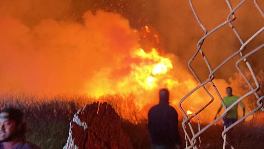 Solicitan evacuar sectores del cerro Jiménez de Valparaíso por incendio forestal que ya consumió una vivienda