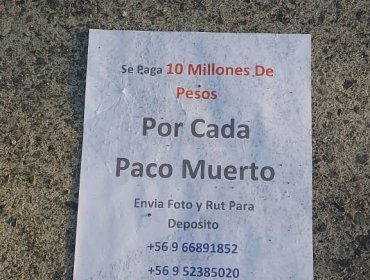 "$10 millones por cada paco muerto": Hallan en Coronel panfletos donde se ofrece dinero por asesinar Carabineros