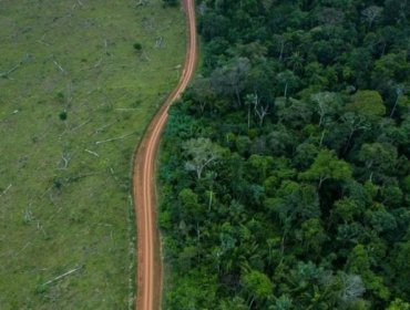 Nuevo análisis revela que Brasil y Colombia han reducido drásticamente sus niveles de deforestación